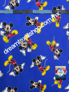 Polar Mickey Mouse fondo azul